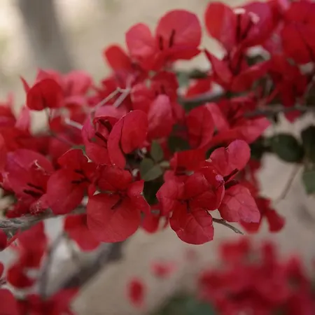 Appartamento Depi's Sea Horizon