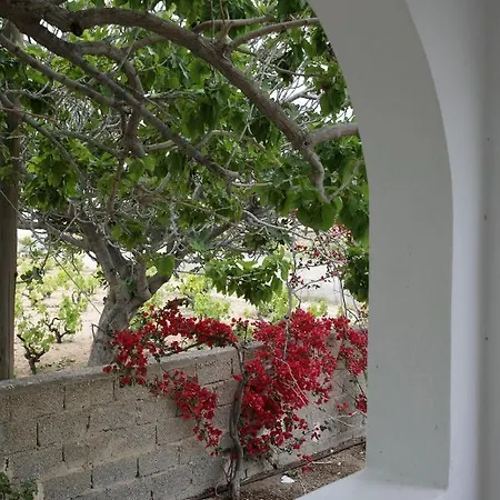 Depi's Sea Horizon Appartamento Mikri Vigla