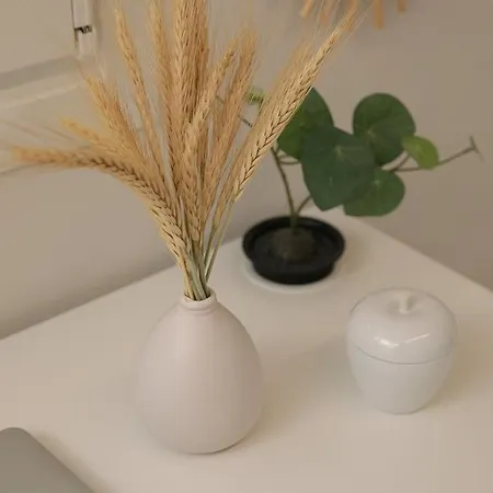 Depi's Sea Horizon 미크리 비글라