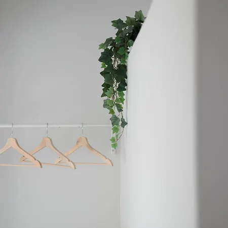 Depi's Sea Horizon 미크리 비글라