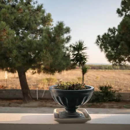 Depi's Sea Horizon 아파트