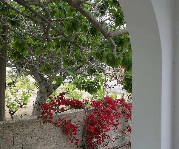 Depi's Sea Horizon Apartment Mikri Vigla